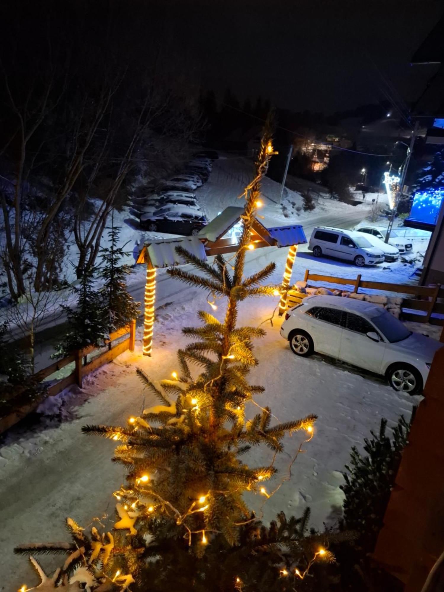 Willa Male Alpy 300 M Od Kompleksow Narciarskich Krynica Zdroj Exterior photo